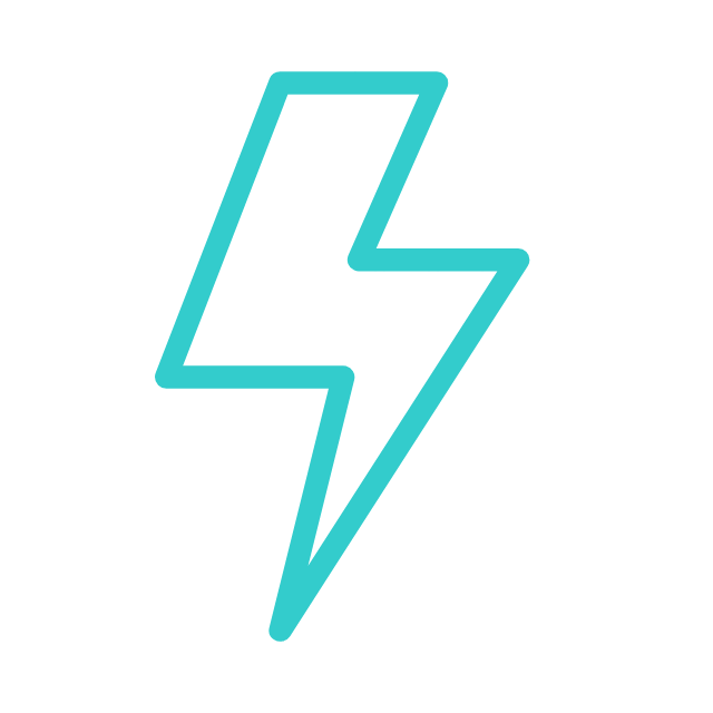 Flash Sale Icon